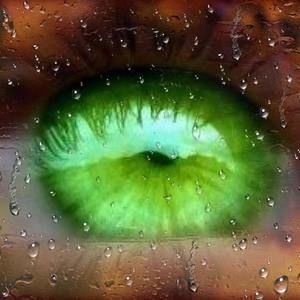 Meet your Posher, Roya